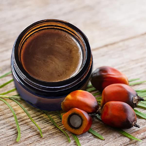 Buy Pure Batana Oil UK | 100% Authentic Hair Growth Oil - Image 2